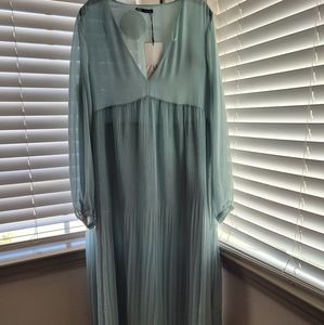 Zara's Dress (NWT)
